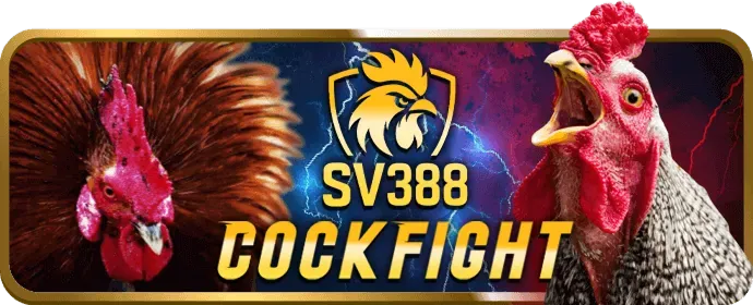 Đá Gà Trực Tuyến bl555win